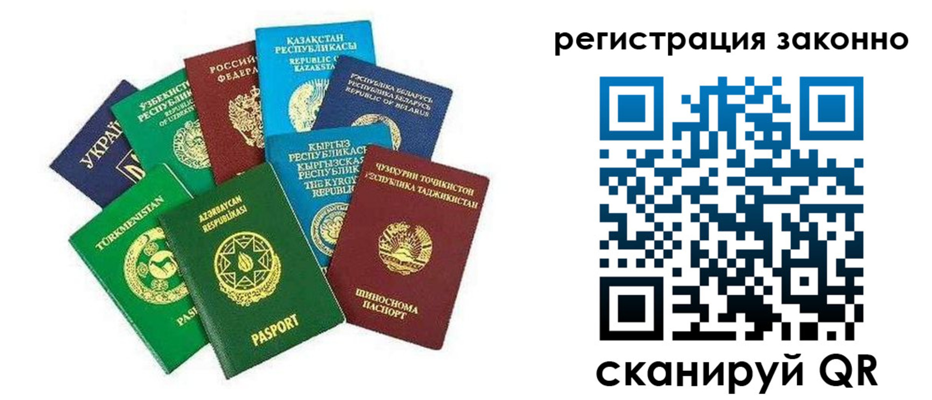 временная регистрация поиск в Тогучине